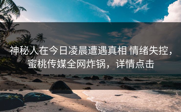 神秘人在今日凌晨遭遇真相 情绪失控，蜜桃传媒全网炸锅，详情点击