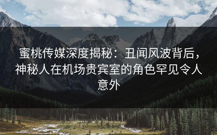 蜜桃传媒深度揭秘：丑闻风波背后，神秘人在机场贵宾室的角色罕见令人意外