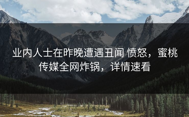 业内人士在昨晚遭遇丑闻 愤怒，蜜桃传媒全网炸锅，详情速看