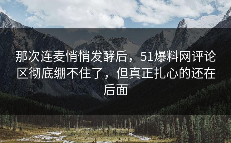 那次连麦悄悄发酵后,51爆料网评论区彻底绷不住了,但真正扎心的还在后面 那次连麦悄悄发酵后,51爆料网评论区彻底绷不住了,但真正扎心的还在后面
